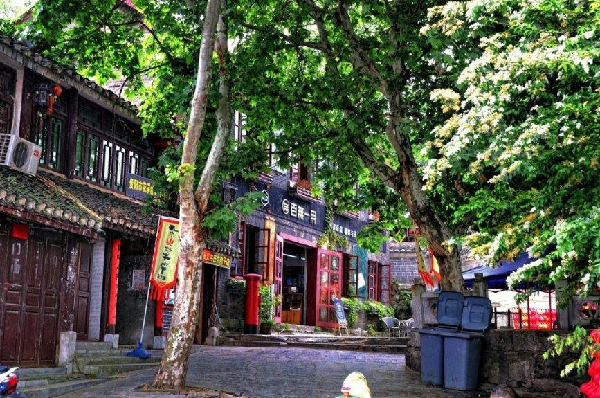 人类：一败涂地